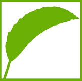 Logo green.png
